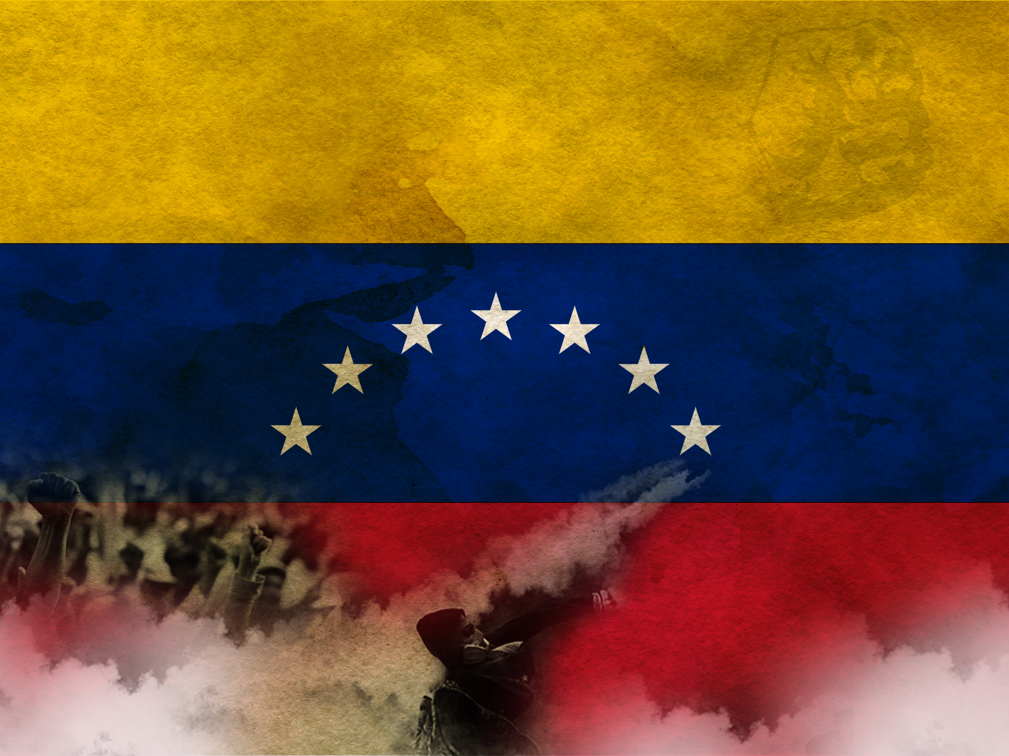 Venezuela's flag and protesters